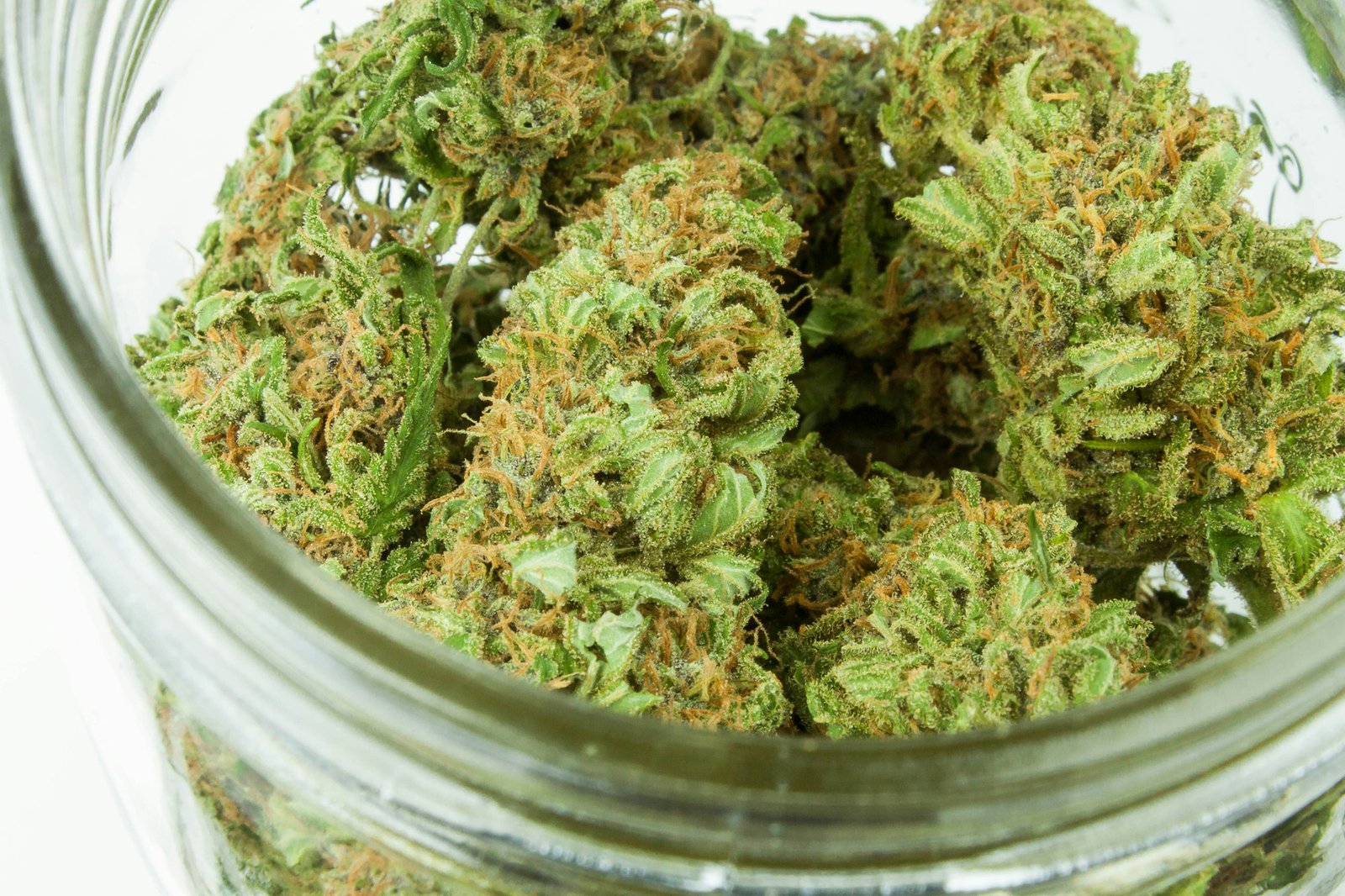 Buds im Glas - Cannabis Ertragssteigerung