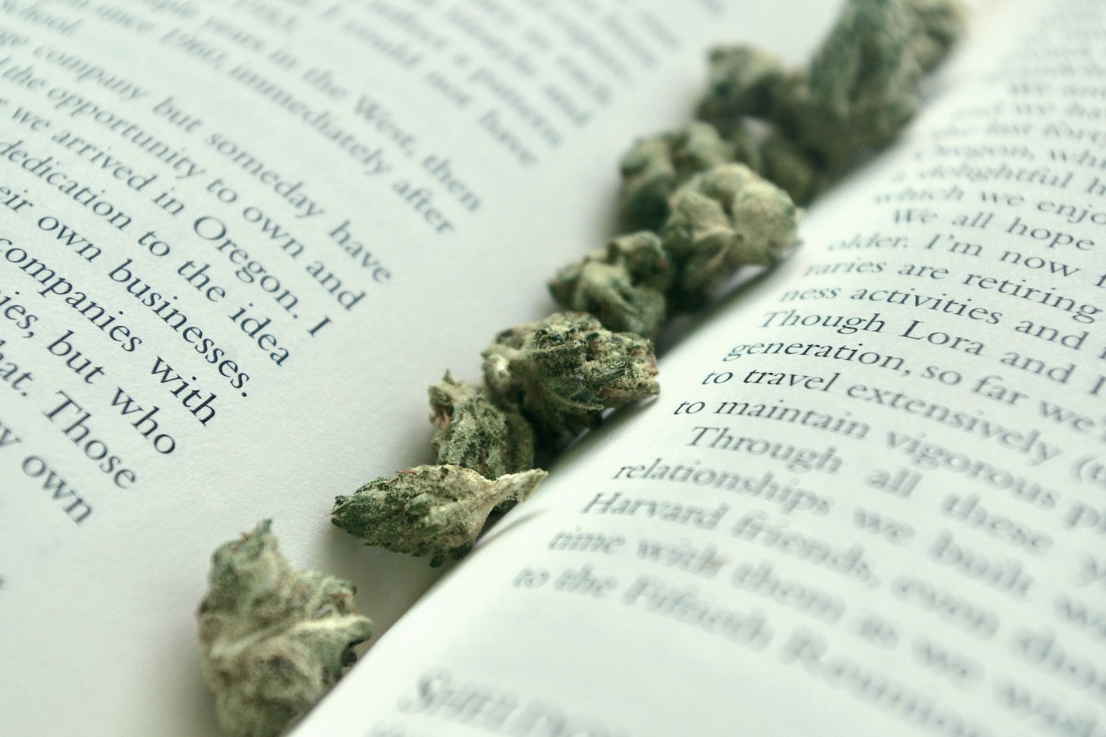 Cannabis in einem Buch - Terpene und Cannabinoide